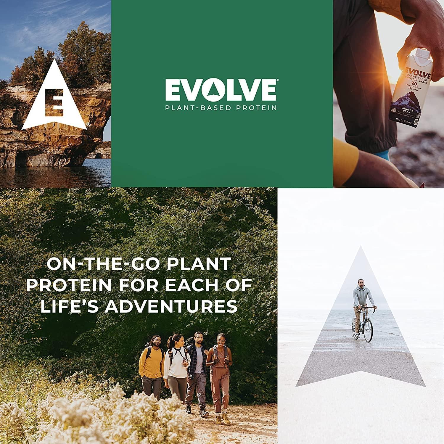 imageEvolve Plant Based Protein Shake Vanilla Bean 20g Vegan Protein Dairy Free No Artificial Sweeteners NonGMO 10g Fiber 11 Fl Oz Pack of 12 Formula May VaryMocha