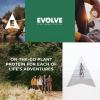 imageEvolve Plant Based Protein Shake Vanilla Bean 20g Vegan Protein Dairy Free No Artificial Sweeteners NonGMO 10g Fiber 11 Fl Oz Pack of 12 Formula May VaryBerry
