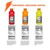 imageGatorade Original Thirst Quencher Fierce Variety Pack 20 Oz Pack Of 12Classic Variety Pack