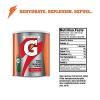 imageGatorade Thirst Quencher 51Oz Powder Variety Pack Pack of 3Fruit Punch