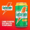 imageGatorade Thirst Quencher Orange 116 Fl Oz Cans Pack of 18Orange