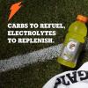 imageGatorade Thirst Quencher Sports Drink Fruit Punch 20oz Bottle 8 Pack Electrolytes for RehydrationFierce Grape