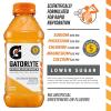 imageGatorlyte Rapid Rehydration Electrolyte Drink Strawberry Kiwi Specialized Blend of 5 Electrolytes Lower Sugar No Artificial Sweeteners No Artificial Flavors 20 fl oz Bottles 12 PackPineapple Mango