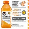 imageGatorlyte Rapid Rehydration Electrolyte Drink Strawberry Kiwi Specialized Blend of 5 Electrolytes Lower Sugar No Artificial Sweeteners No Artificial Flavors 20 fl oz Bottles 12 PackOrange